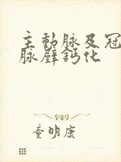 主动脉及冠状动脉壁钙化