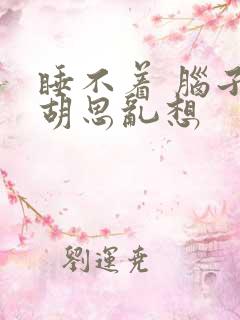 睡不着 脑子里胡思乱想