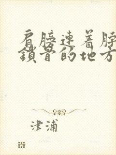 肩膀连着脖子到锁骨的地方疼