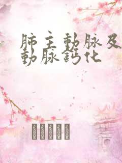 肺主动脉及冠状动脉钙化