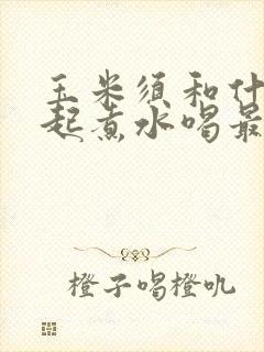 玉米须和什么一起煮水喝最佳