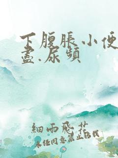 下腹胀小便尿不尽.尿频