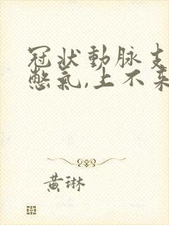 冠状动脉支架后憋气,上不来气,胸闷