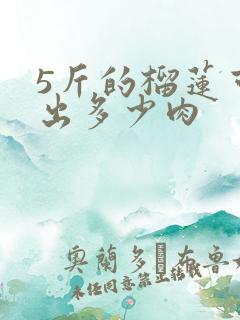 5斤的榴莲可以出多少肉