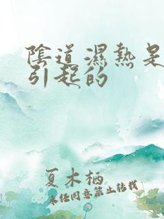 阴道湿热是什么引起的