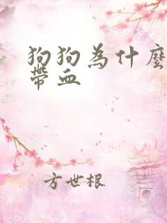 狗狗为什么尿里带血