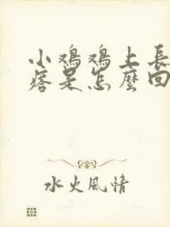 小鸡鸡上长小疙瘩是怎么回事