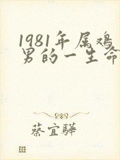 1981年属鸡男的一生命运