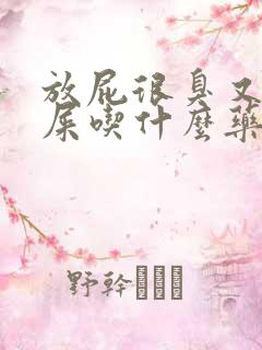 放屁很臭又不拉屎吃什么药