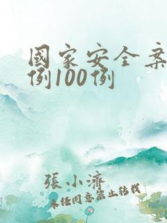 国家安全案例实例100例