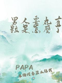 男人睾丸有小颗粒是怎么了