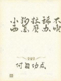 小狗拉稀不吃东西怎么办吃什么药