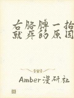 右胳膊一抬肩膀就疼的原因