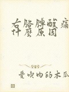 右胳膊酸痛手麻什么原因