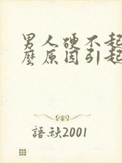 男人硬不起来什么原因引起的