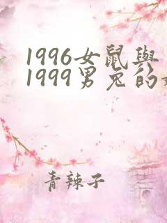 1996女鼠与1999男兔的婚姻