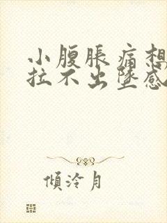 小腹胀痛想大便拉不出坠感