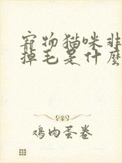 宠物猫咪非正常掉毛是什么原因