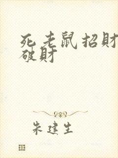 死老鼠招财还是破财