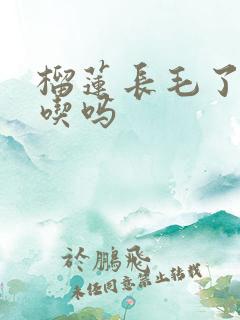 榴莲长毛了可以吃吗