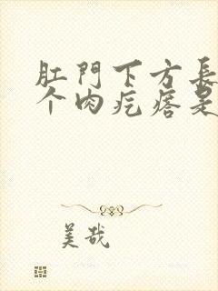 肛门下方长了一个肉疙瘩是怎么回事