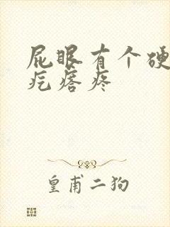 屁眼有个硬硬的疙瘩疼