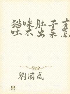 猫咪肚子有毛球吐不出来怎么办