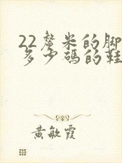 22厘米的脚是多少码的鞋子