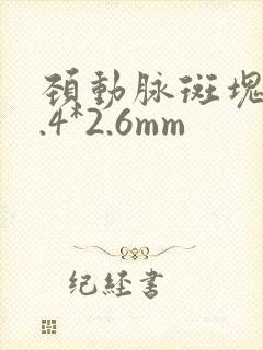 颈动脉斑块13.4*2.6mm