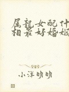 属龙女配什么属相最好婚姻