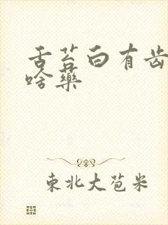 舌苔白有齿痕吃啥药