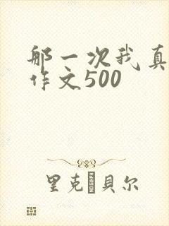 那一次我真激动作文500
