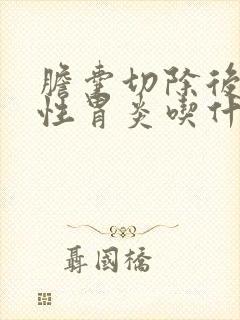 胆囊切除后反流性胃炎吃什么药