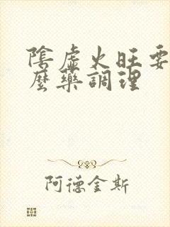 阴虚火旺要吃什么药调理