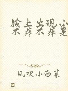 脸上出现小疙瘩不疼不痒是什么