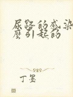 尿路的感染是怎么引起的