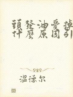 头发油爱掉发是什么原因引起的