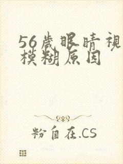 56岁眼睛视力模糊原因