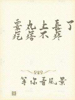 睾丸上长了个硬疙瘩不疼