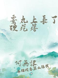 睾丸上长了个小硬疙瘩