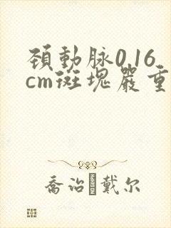 颈动脉0.16cm斑块严重么