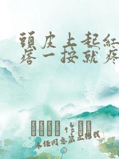 头皮上起红色疙瘩一按就疼