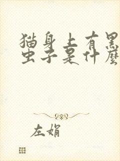 猫身上有黑色的虫子是什么