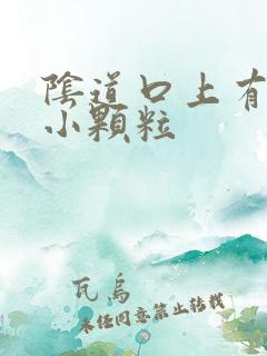 阴道口上有很多小颗粒