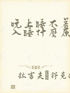 晚上睡不着难以入睡什么原因