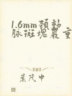 1.6mm颈动脉斑块严重吗?