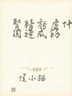 肾精亏虚什么原因造成的