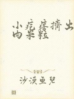 小疙瘩挤出白色肉米粒