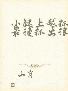 小腿上越抓越痒最后抓出很多小疙瘩