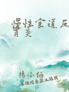 慢性食道反流性胃炎